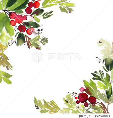 Christmas watercolor card with berries and flowers Christmas watercolor card with berries and flowers 35258063