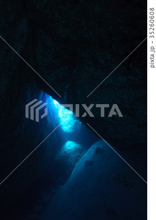 小笠原の海底洞窟 35260608