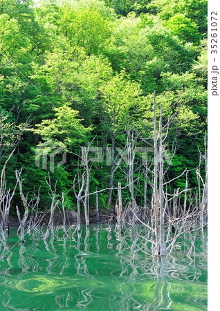 徳山湖 徳山湖 35261072