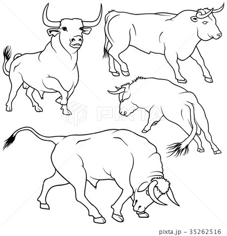 Bull Outlines Collection 35262516