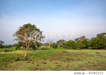 Landscape of Yala National Park, Sri Lanka 35262552