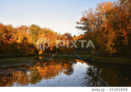Autumn. Beautiful colorful leaves. Landscape. 35262608