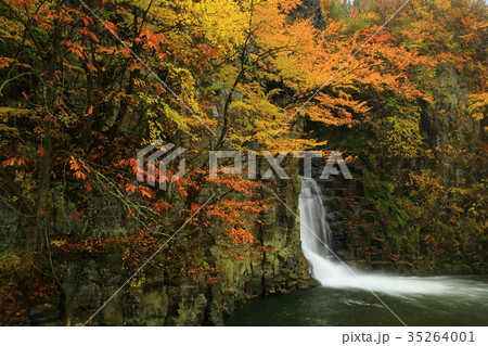 紅葉の銚子の滝 紅葉の銚子の滝 35264001