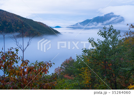 乗鞍高原 雲海10 35264060
