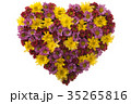 Flower Love 35265816