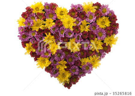 Flower Love Flower Love 35265816