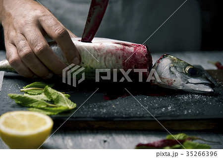 young man cutting a fresh mackerel 35266396