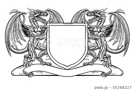 Dragon Heraldry Crest Coat of Arms Shield Emblem Dragon Heraldry Crest Coat of Arms Shield Emblem 35268227