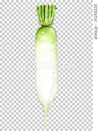 水彩插圖 水彩插圖 35268228