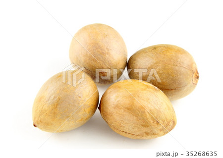 avocado seeds isolated on a white background avocado seeds isolated on a white background 35268635