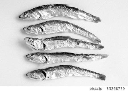 煮干し　モノクロイメージ 35268779