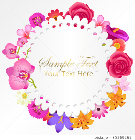 Gorgeous Flower Buds Isolated illustrations set Gorgeous Flower Buds Isolated illustrations set 35269265