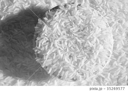 ジャスミンライス　モノクロイメージ 35269577