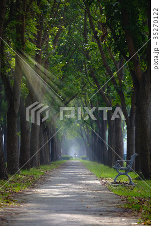 光 ライト 明かり 35270122