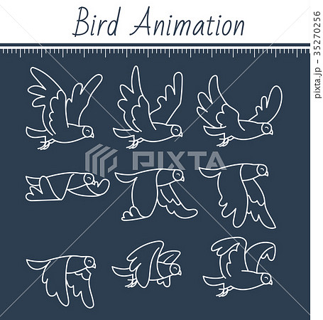bird flying drawing sequence