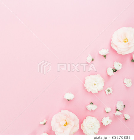 White roses flowers arrangement on pink background White roses flowers arrangement on pink background 35270882
