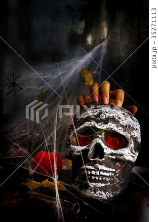 Happy Halloween Party Table with spider web, Happy Halloween Party Table with spider web, 35271113