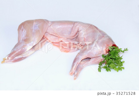 Raw rabbit on white with parsley Raw rabbit on white with parsley 35271528