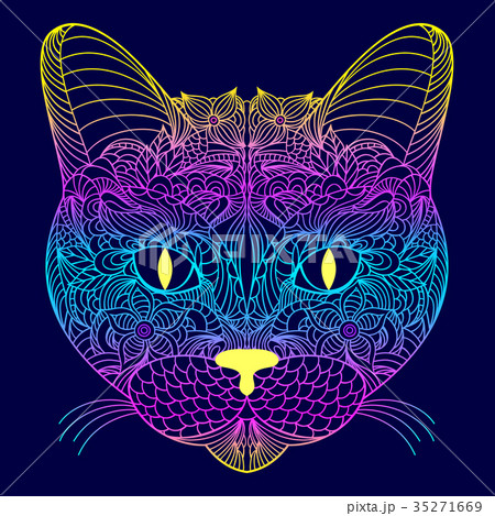Head of cat Head of cat 35271669