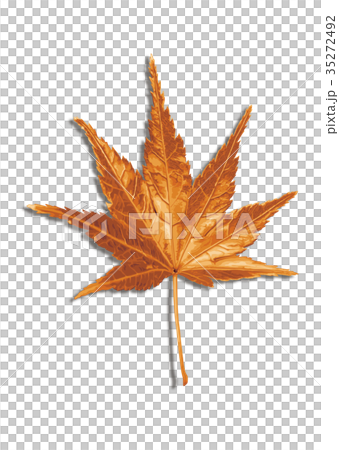 Maple autumn leaves 1-3 shadow Maple autumn leaves 1-3 shadow 35272492