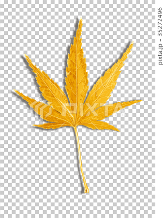 楓葉秋葉2-2影 楓葉秋葉2-2影 35272496