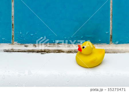 mold in bath, a duck toy, bathroom 35273471