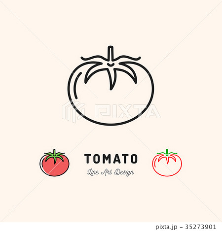 Vector Tomato icon Vegetables logo. Thin line art 35273901