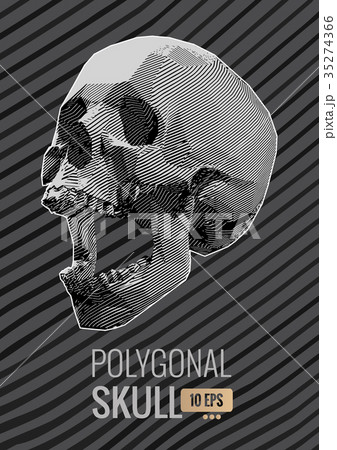 Stylized stripe skull on monochrome stripe BG Stylized stripe skull on monochrome stripe BG 35274366