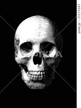 Old monochrome engraving skull illustration Old monochrome engraving skull illustration 35274367