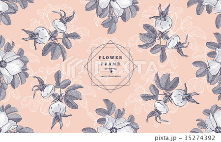 Flower frame Wild Roses and Rosehips, Floral 35274392