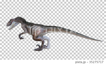 恐龍 35275717