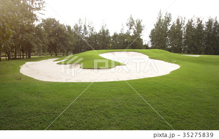 Green lawn golf Green lawn golf 35275839