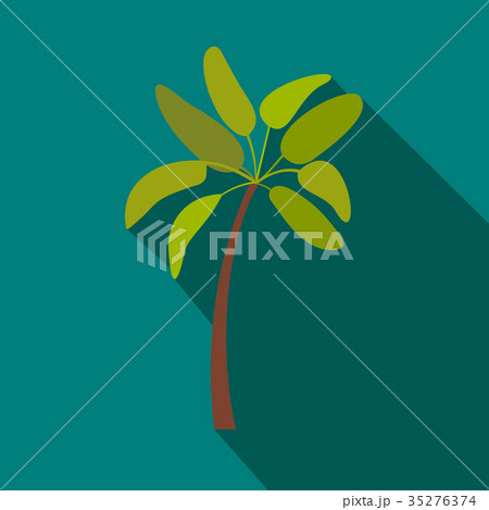 Palm tree icon, flat style 35276374
