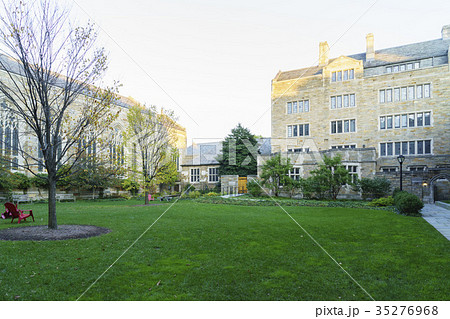 木 大学 建築 35276968