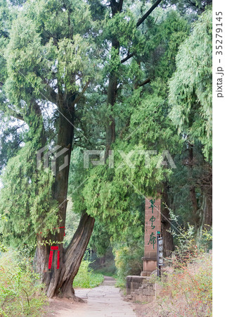 三国志遺跡 翠雲廊　中国・四川省剣閣 35279145