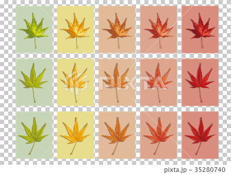 楓葉秋葉顏色回列表 35280740