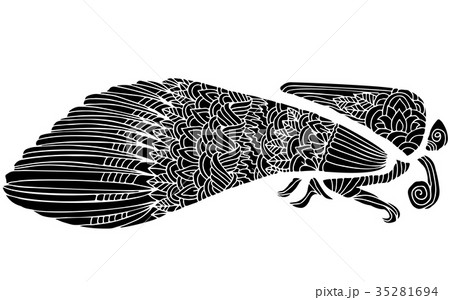 Black and wite moth with ethnic floral ornaments Black and wite moth with ethnic floral ornaments 35281694