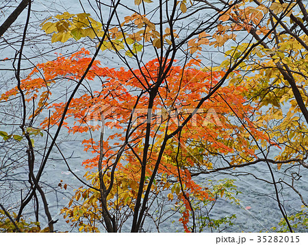 紅葉と中禅寺湖の流れ 紅葉と中禅寺湖の流れ 35282015