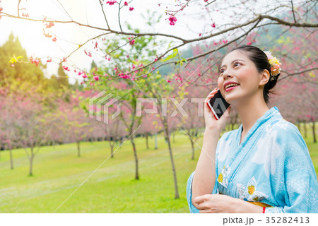 young woman wear japanese kimono visiting sakura young woman wear japanese kimono visiting sakura 35282413