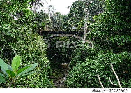 Campuhan bridge (Indonesia) 35282962