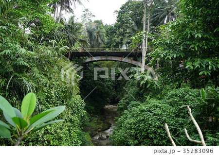 Campuhan bridge (Indonesia) Campuhan bridge (Indonesia) 35283096