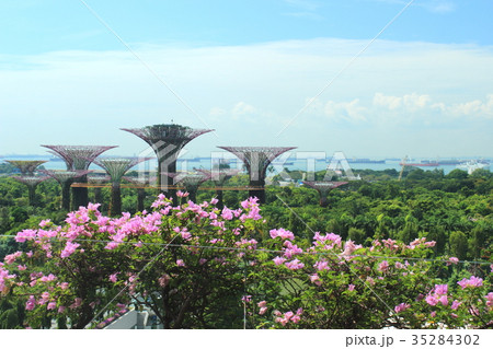 マリーナベイサンズの部屋からの景色 35284302