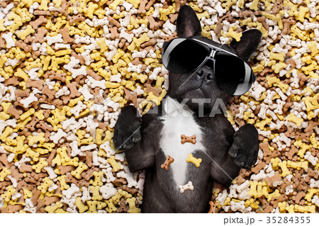 hungry dog in big  food mound 35284355