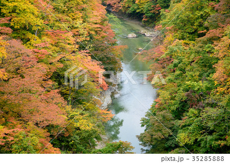 紅葉の小安峡 秋田県 紅葉の小安峡 秋田県 35285888