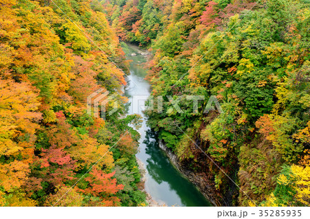紅葉の小安峡 秋田県 紅葉の小安峡 秋田県 35285935
