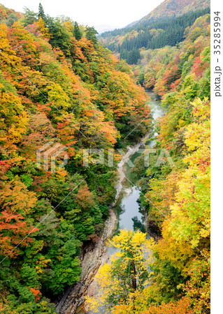 紅葉の小安峡 秋田県の写真素材