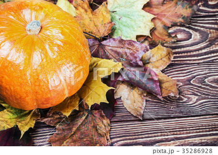 pumpkins for Halloween and autumn gifts 35286928