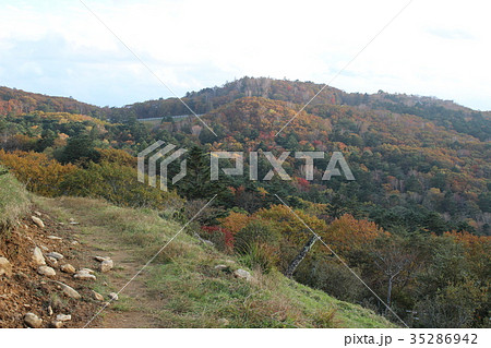 横根高原の紅葉 横根高原の紅葉 35286942