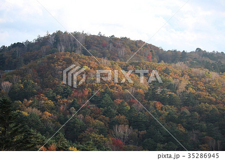 横根高原の紅葉 横根高原の紅葉 35286945