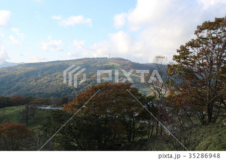 横根高原の紅葉 横根高原の紅葉 35286948
